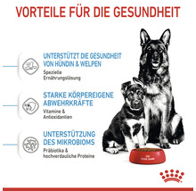 Hundefutter trocken ROYAL CANIN Maxi Starter für tragende Hündin und Welpen großer Rassen 15 kg