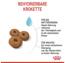 Hundefutter trocken ROYAL CANIN Maxi Starter für tragende Hündin und Welpen großer Rassen 15 kg