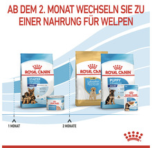 Hundefutter trocken ROYAL CANIN Maxi Starter für tragende Hündin und Welpen großer Rassen 15 kg
