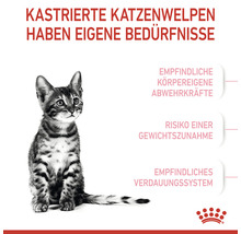 Illustration mit Katze und Informationen zu Bedürfnissen kastrierter Katzenwelpen