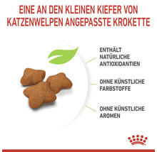 Kroketten für Katzenwelpen, angepasst an kleine Kiefer, enthalten natürliche Antioxidantien, ohne künstliche Farbstoffe und Aromen