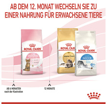 Drei Packungen Royal Canin Katzenfutter für Kitten, Maine Coon und Indoor Katzen