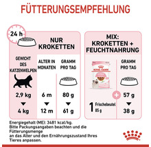 Fütterungsempfehlung für Katzenfutter