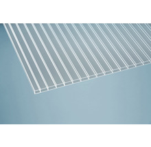 Transparente Doppelstegplatte für den Bau
