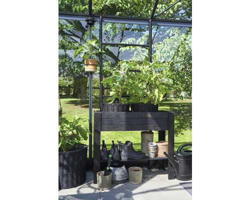 Intérieur de serre avec plantes, pots et étagère