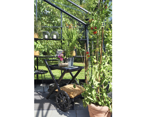 Scène dans une serre avec des plantes, de la décoration et un chariot de service