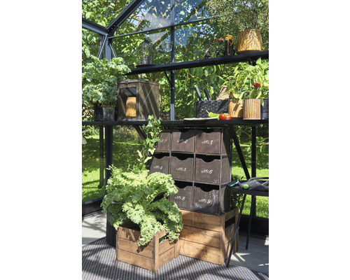 Intérieur de serre avec étagères, bacs à plantes et outils de jardinage