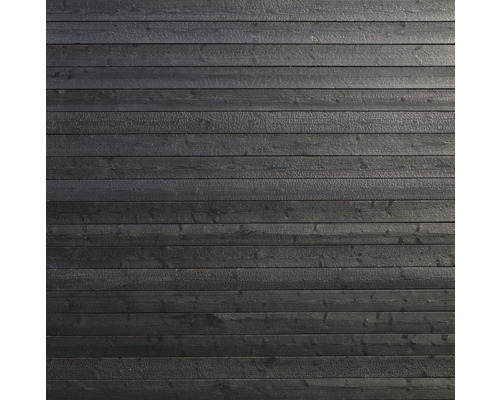 Façade en bois avec planches horizontales