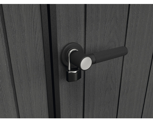 Porte avec poignée de porte et cadenas