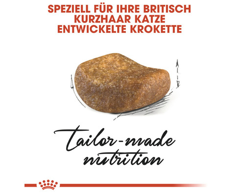 Krokette für Britisch Kurzhaar Katze