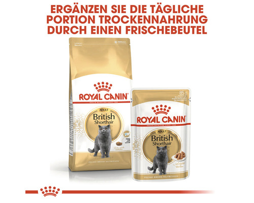 Royal Canin Adult British Shorthair Trockenfutter und Frischebeutel für Katzen