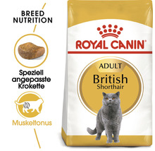 Katzenfutter trocken ROYAL CANIN British Shorthair 2 kg