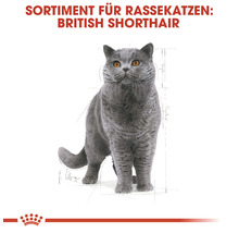 Katzenfutter trocken ROYAL CANIN British Shorthair 2 kg