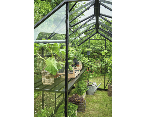 Serre avec plantes sur une table et dans le jardin