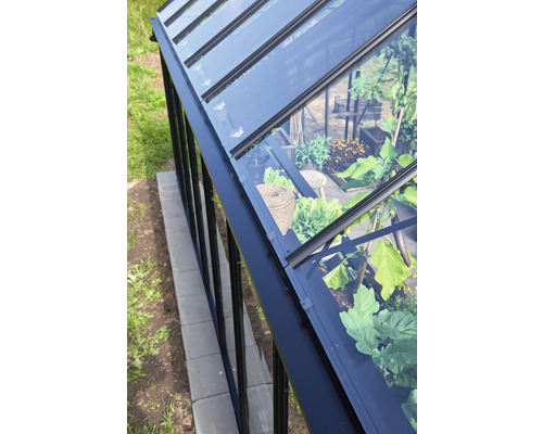 Vue détaillée d''une serre avec des plantes à l''intérieur