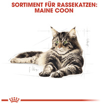 Katzenfutter trocken ROYAL CANIN Maine Coon 2 kg