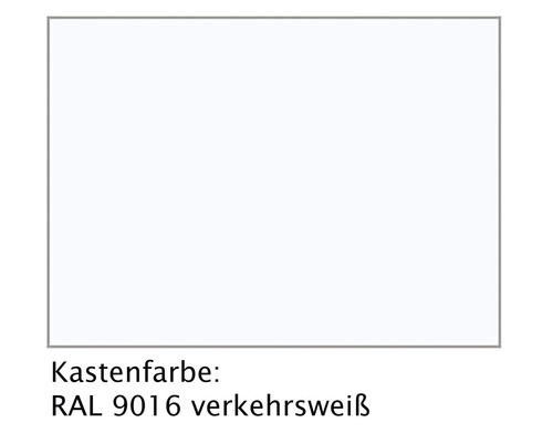 RAL 9016 Verkehrsweiss