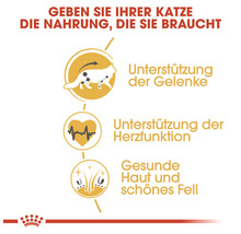 Katzenfutter trocken ROYAL CANIN Maine Coon 10 kg