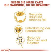 Katzenfutter trocken ROYAL CANIN Ragdoll Adult 10 kg