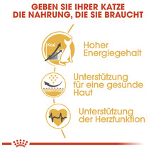 Informationen zum Energiegehalt, zur Unterstützung der Hautgesundheit und zur Unterstützung der Herzfunktion von Katzenfutter