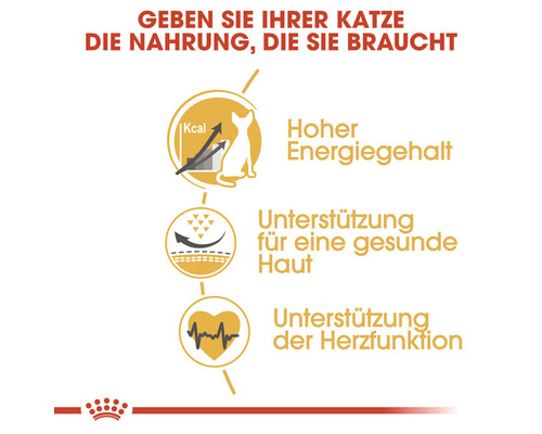 Informationen zum Energiegehalt, zur Unterstützung der Hautgesundheit und zur Unterstützung der Herzfunktion von Katzenfutter