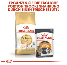 Royal Canin Katzentrockenfutter und Frischebeutel für ausgewachsene Katzen