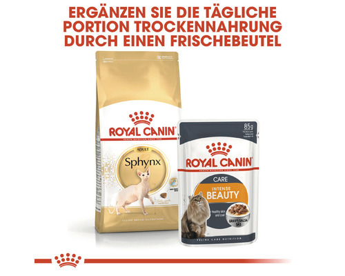 Royal Canin Katzentrockenfutter und Frischebeutel für ausgewachsene Katzen