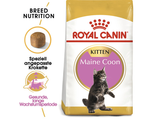 Royal Canin Kitten Maine Coon Katzenfutter
