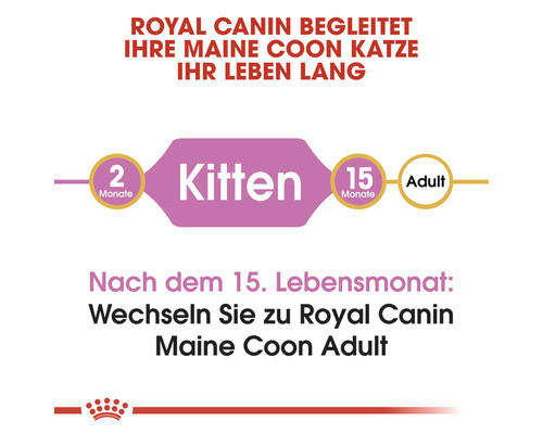 Royal Canin begleitet Ihre Maine Coon Katze ihr Leben lang. Kittenfutter ab dem zweiten Lebensmonat, ab dem 15. Lebensmonat zu Royal Canin Maine Coon Adult wechseln.