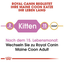Royal Canin begleitet Ihre Maine Coon Katze ihr Leben lang. Kittenfutter von 2 bis 15 Monaten, danach Futter für adulte Katzen.