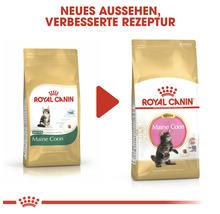 Zwei Packungen Royal Canin Maine Coon Kitten Katzenfutter mit neuer Rezeptur