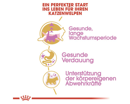 Informationen zu den Vorteilen von Katzenfutter für eine gesunde Verdauung und ein gesundes Wachstum