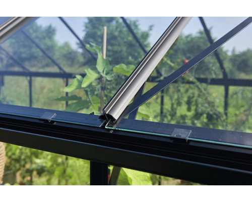 Vue détaillée d''une serre avec des plaques de verre et un cadre métallique