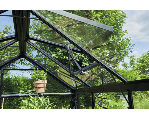 Vue intérieure d''une serre avec fenêtre ouverte et plantes