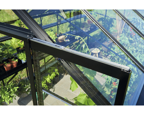 Vue détaillée d''une serre avec des plantes