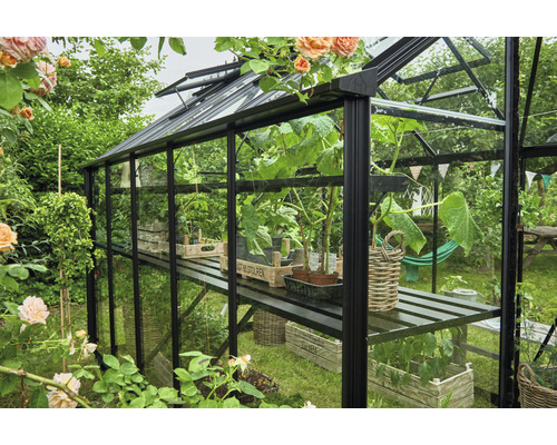 Serre avec plantes et étagères dans un jardin.