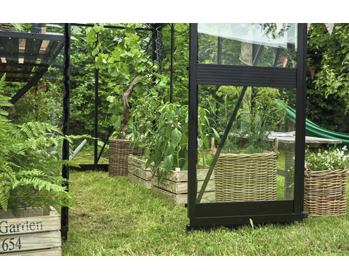 Serre avec plantes dans des caisses en bois et des paniers