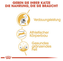 Grafische Darstellung zur Unterstützung der Verdauung, des athletischen Körperbaus und eines gesunden Fells bei Katzen