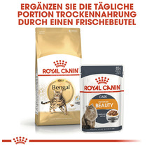 Royal Canin Bengal adult Katzenfutter und Royal Canin Intense Beauty Katzenfutterbeutel