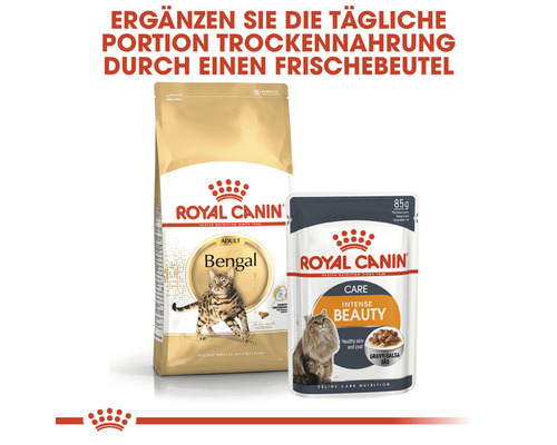 Royal Canin Bengal adult Katzenfutter und Royal Canin Intense Beauty Katzenfutterbeutel