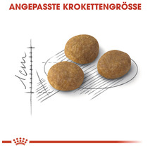 Drei Hundefutterkroketten