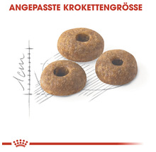 Katzenfutter trocken ROYAL CANIN Fit 2 kg