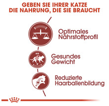 Katzenfutter trocken ROYAL CANIN Fit regular 32 4 kg