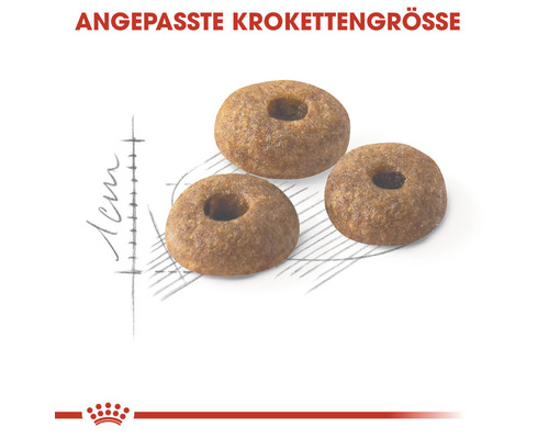 Drei Trockenfutter-Kroketten mit Loch