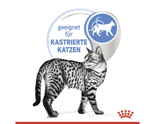 Katze geeignet für kastrierte Katzen