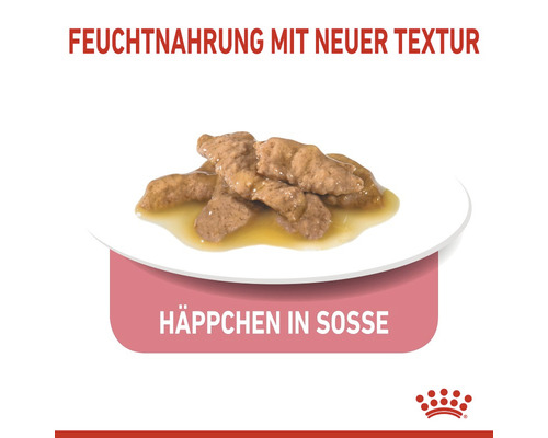 Katzennassfutter mit neuer Textur als Häppchen in Sosse