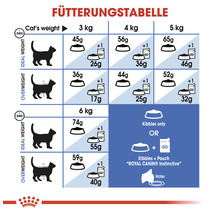 Katzenfutter trocken ROYAL CANIN Indoor 10 kg