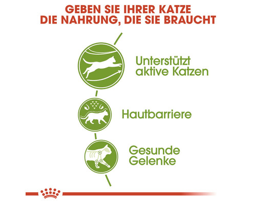 Grafik zum Thema Katzenernährung: Unterstützt aktive Katzen, Hautbarriere, Gesunde Gelenke