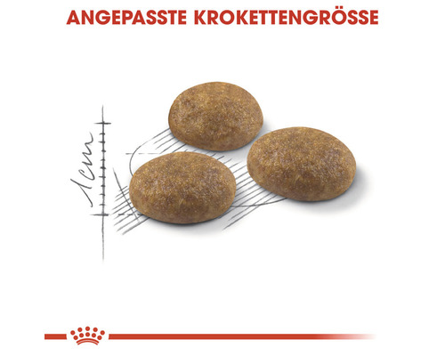 Drei Futterkroketten mit Größenangabe