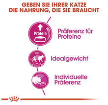 Katzenfutter: Vorteile im Überblick